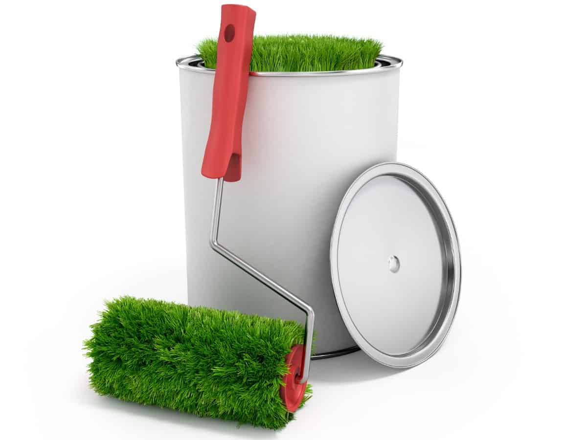 eco friendly painting orlando